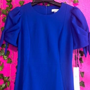 Calvin Klein Sheath Blue– Women’s Casual Dresses with Professional Flair